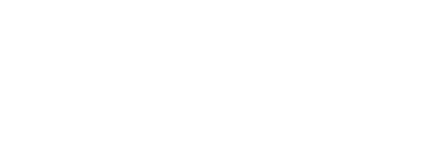 Salt logo